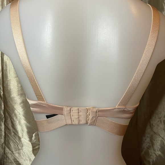 Honey Birdette Ashleigh Blush Bra - Picture 2 of 5